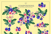 Figura Fig Plant Watercolor clipart, a Food Illustration by SashaKondr (Thumbnail 9 of 12)