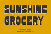 Bodega Sans: A Retro Typeface, a Sans Serif Font by DeliFreshTypeCo. (Thumbnail 4 of 4)