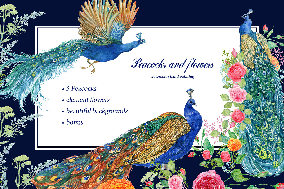 Peacocks and flowers/watercolor, an Illustration by MitrushovaArt (Photo 1 of 7)
