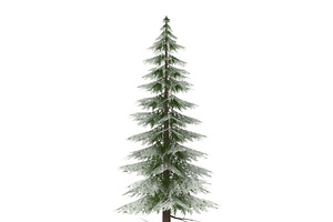 Canadian Spruce Tree Snow V3