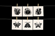 Woodland Bundle, an Animal Illustration by Annie Konst (Thumbnail 4 of 29)
