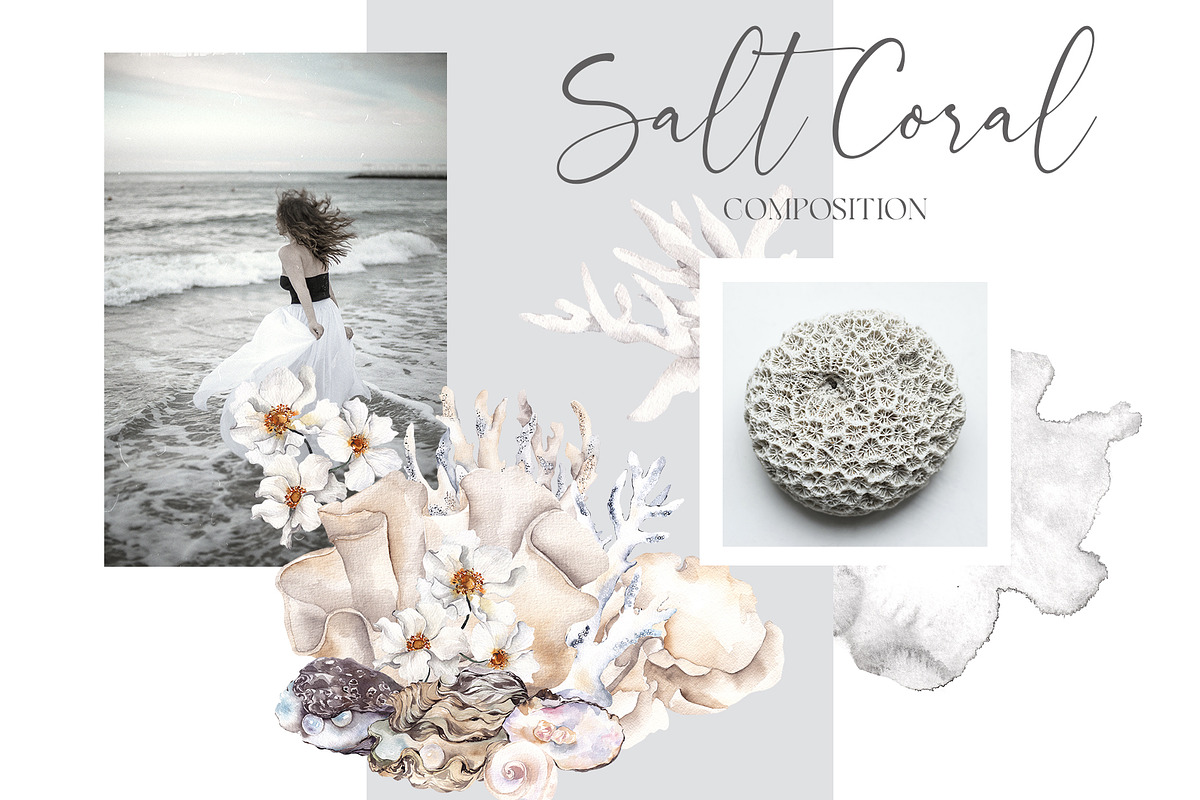 Salt Coral. Sea shell and flowers., an Object Illustration by ma_i_vi (Photo 3 of 12)