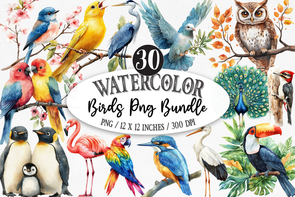 Watercolor Birds Png Bundle, an Illustration by Designking (Photo 1 of 5)