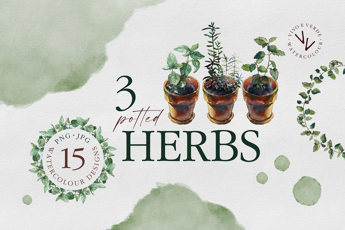 3 herbs in flowerpots watercolour, an Illustration by vivo e verde (Photo 1 of 11)