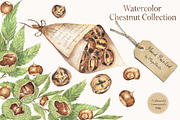 Watercolor Chestnut Set, a Food Illustration by MayaNavits (Thumbnail 1 of 7)