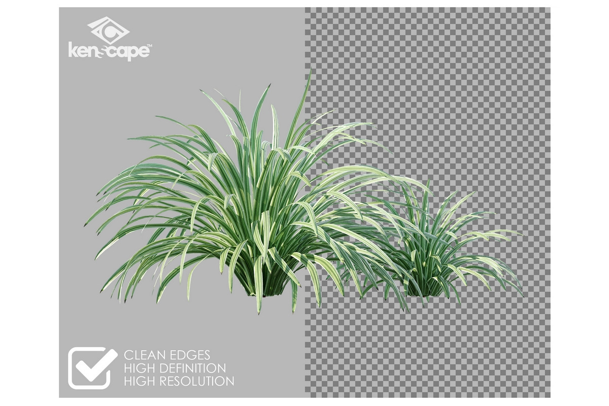 63 Assorted Plants Photo Overlays, a Nature Photo by KenScape (Photo 2 of 3)