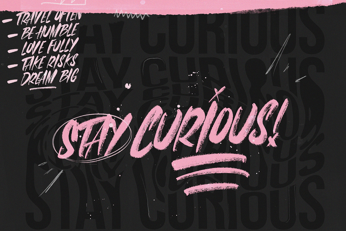 FRANCES BRUSH SVG Font, a Script Font by Cameron Humphries (Photo 7 of 8)