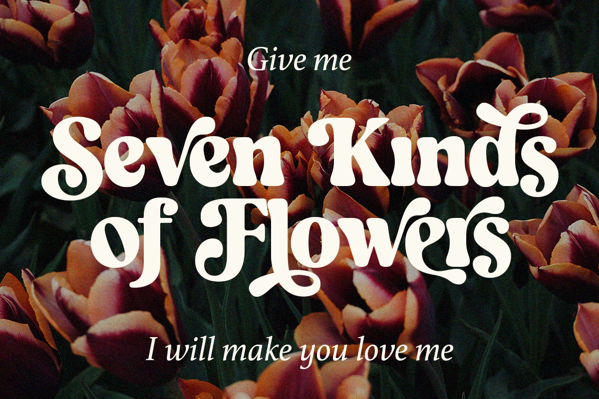 Branger - Modern Retro Serif, a Serif Font by Shakira Studio (Photo 2 of 15)