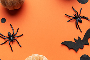 Halloween decor with pumpkins, spiders, bats on orange backgroun, a Holiday Photo by Olena Rudo
