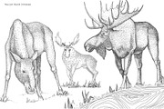 My Forest, an Animal Illustration by YuliaBiser (Thumbnail 4 of 5)