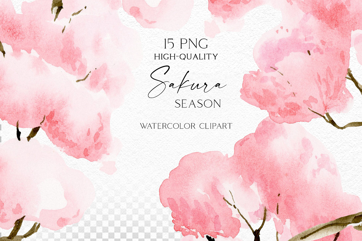 Sakura Season - Delicate watercolour, an Illustration by Olga Koelsch (Photo 10 of 11)