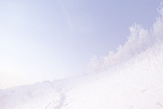 5 Pastel Winter Landscapes, a Background Photo by Fun Fusion Design (Thumbnail 3 of 6)