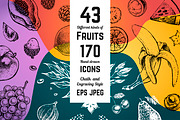 Fruits - hand drawn vector set, a Food Illustration by Margo Miller (Thumbnail 1 of 25)