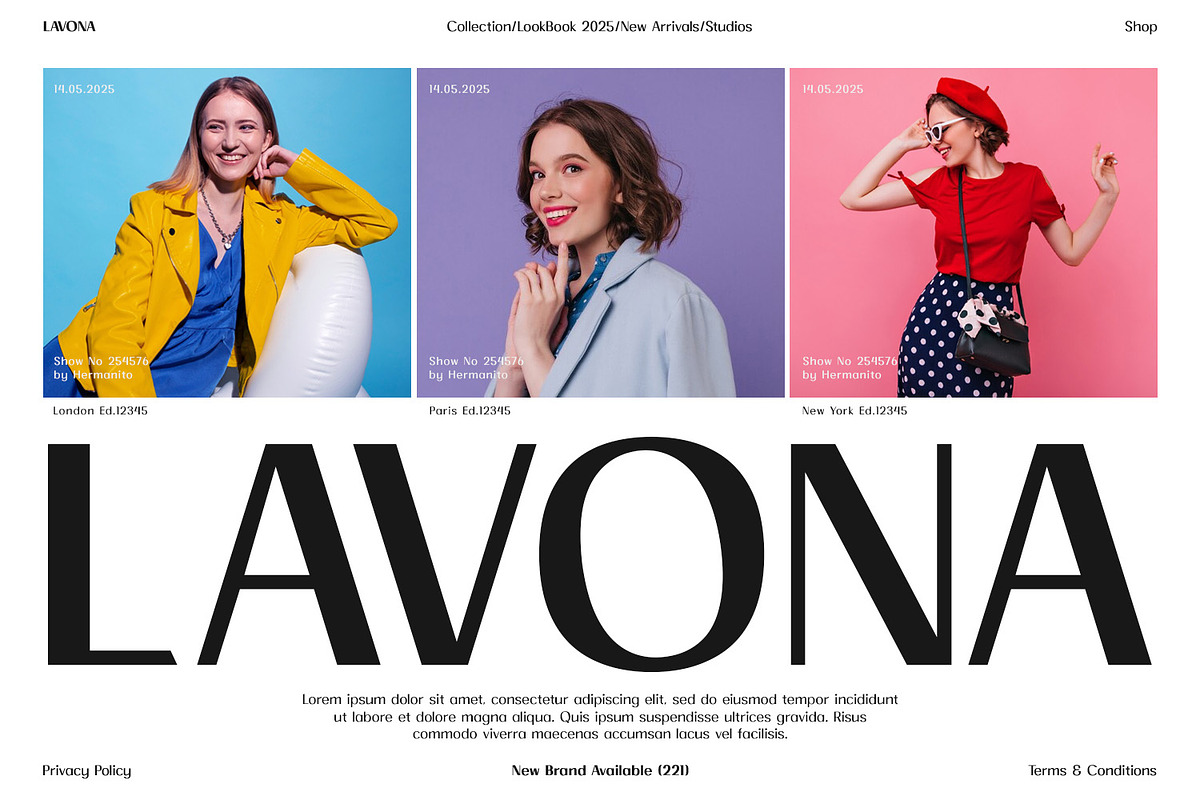 Lavona – Modern Variable Sans Serif, a Font by Hasbi Creative (Photo 8 of 9)