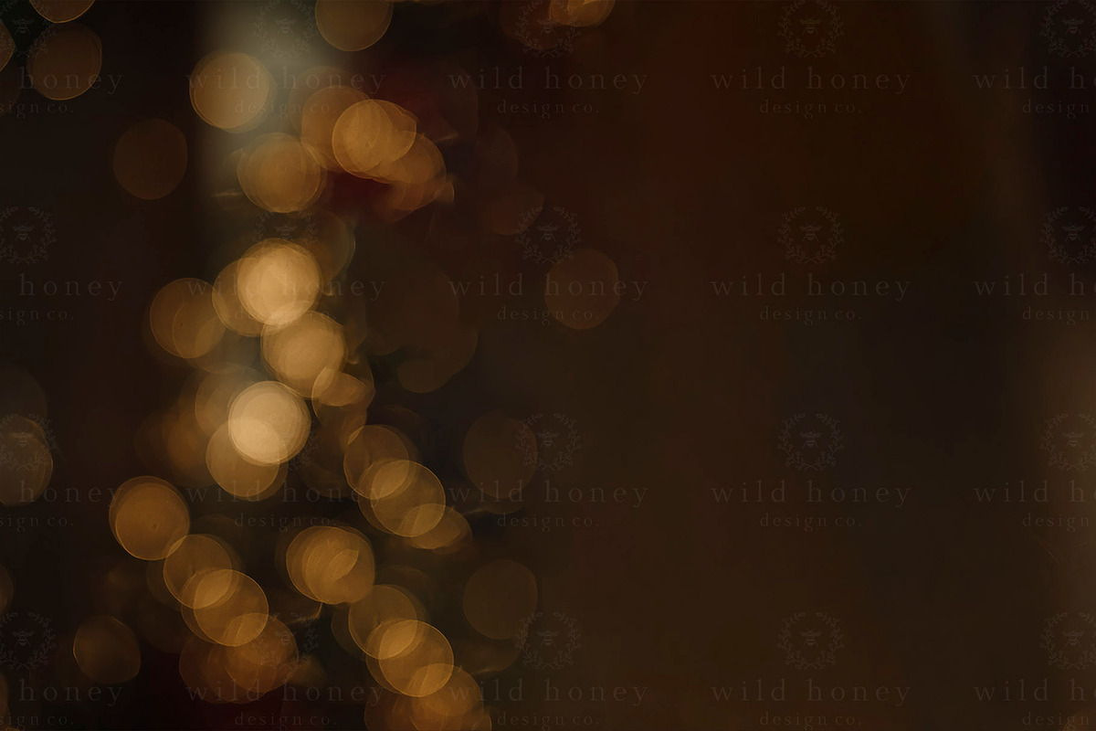 Christmas Lights Digital Backdrop, a Layer Style Add-On by Wild Honey Design Co. (Photo 2 of 2)