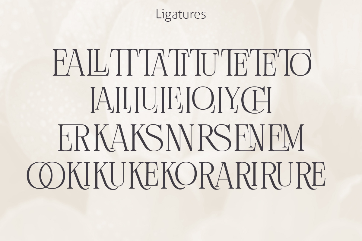 Golsuka Kadila - Hand Crafted Hybrid, a Serif Font by Letterhend Studio (Photo 8 of 9)