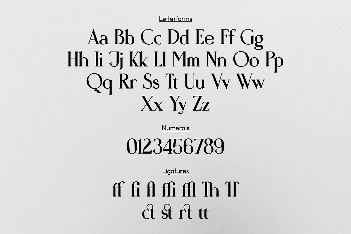 Daytripper Display | Dramatic Serif, a Serif Font by wendyleftmealone (Photo 2 of 7)