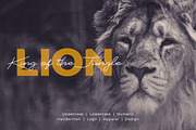 Saffanah Script Font, a Script Font by yantodesign (Thumbnail 4 of 11)