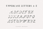 Alogoda Monogram font, luxury brand, a Script Font by Tanondesign (Thumbnail 4 of 4)