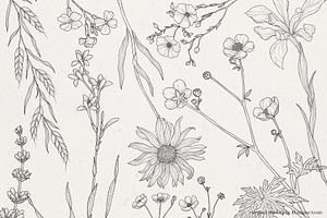 Wildflower Clipart Pack-Part 1