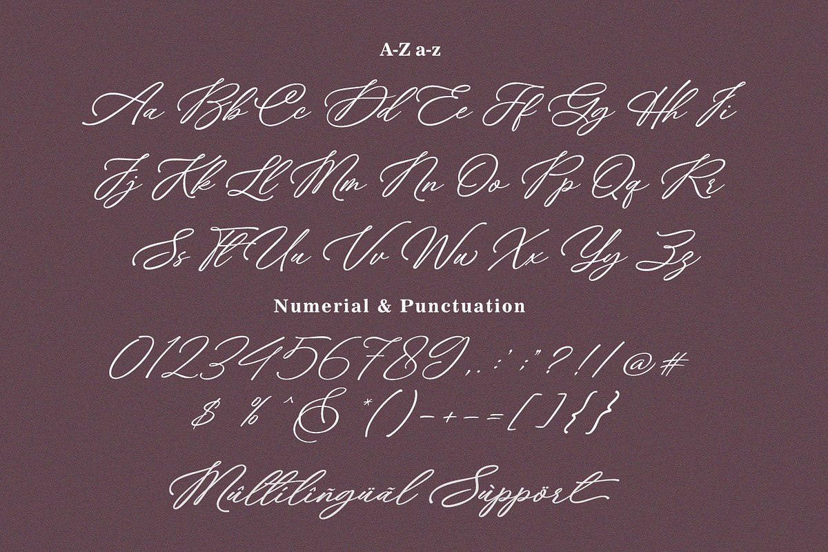 Ms. Chelsea - Chic Calligraphy Font, a Script Font by Subectype Studio (Photo 8 of 9)