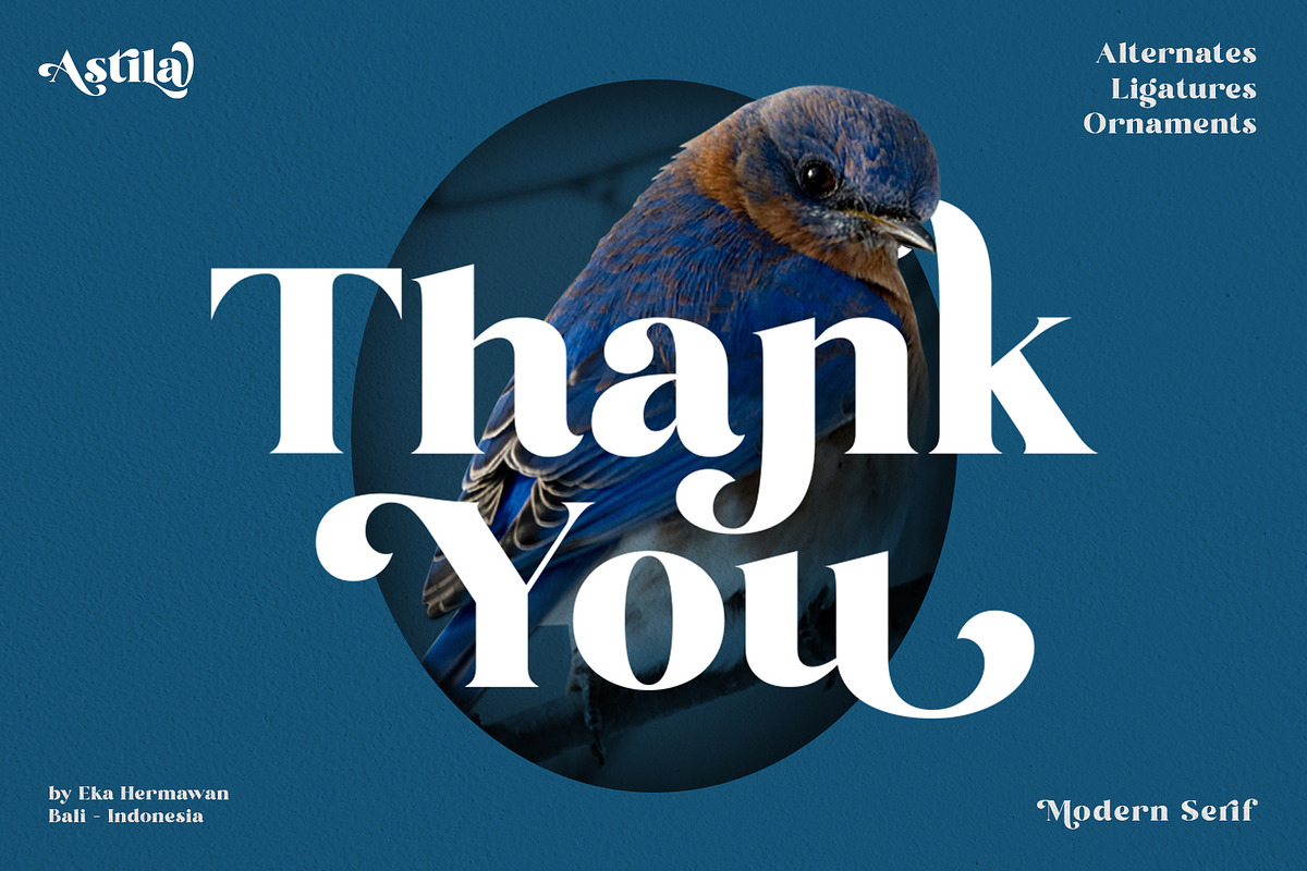 Astila - Modern & Playful Serif Font, a Serif Font by Ekahermawan (Photo 12 of 12)