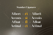 Regista - Display Serif, a Serif Font by Lettermine (Thumbnail 8 of 10)