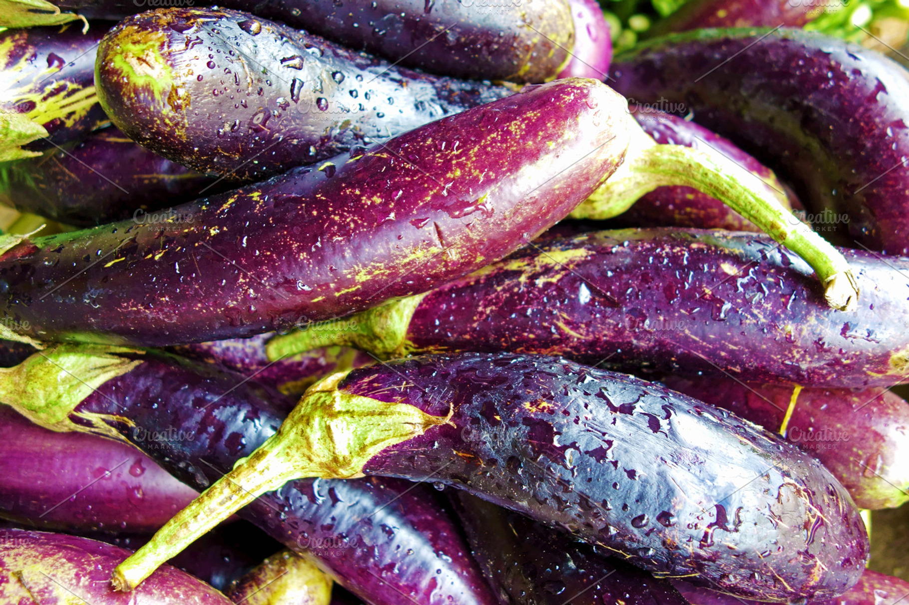 Eggplant stock photo containing background and close up