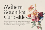 BOSHE Modern Serif Font, a Serif Font by BOOSH Studio (Thumbnail 9 of 12)