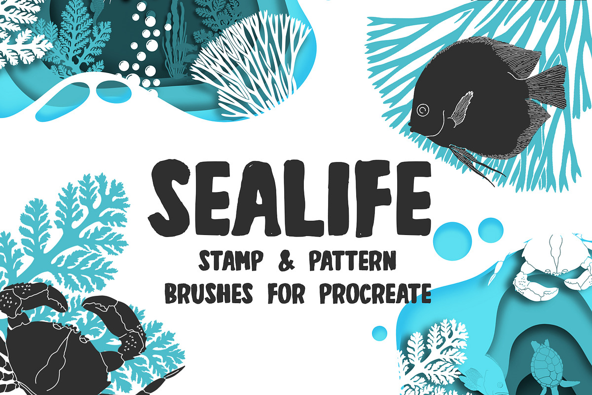 Sealife Procreate Patterns & Stamps, a Brush Add-On by BrushBoy (Photo 1 of 4)