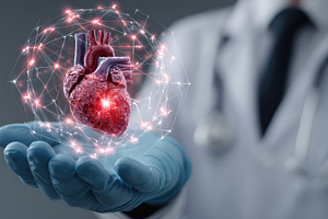 Doctor holding digital human heart h, a Photo by Pixeness Studio