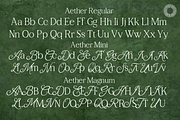 Aether Multi-Style Serif, a Serif Font by Setara Langit CreativeStd (Thumbnail 11 of 11)