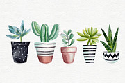 Cactus clipart with pots, a Decorative Illustration by Colibri Watercolor (Thumbnail 4 of 5)
