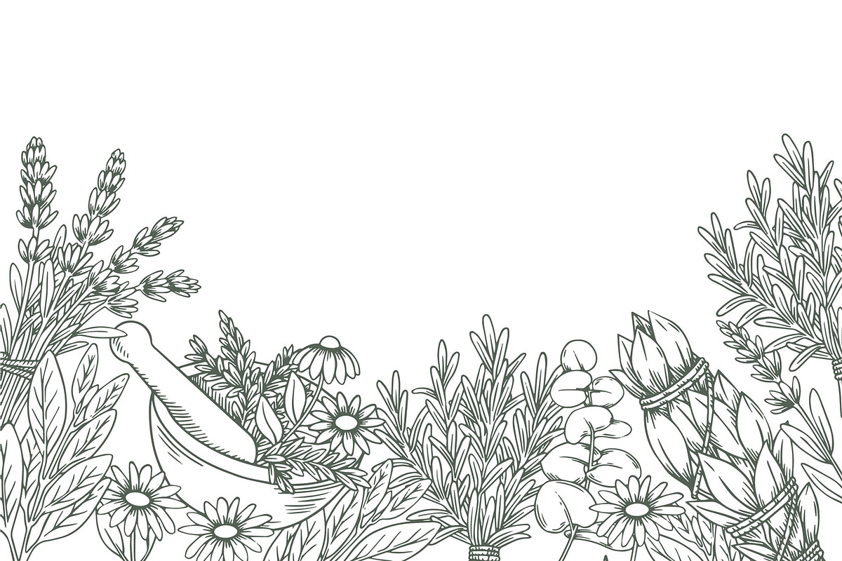 Aromatherapy. Medicinal herbs, a Healthcare Illustration by made by Tanya (Photo 6 of 6)
