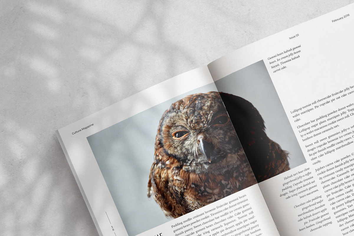 Cultura Magazine Template (InDesign), a Magazine Template by Eternel Design Studio (Photo 7 of 13)