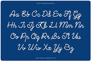 Duck Hook - Script & Sans Font Duo, a Script Font by UppercapType (Thumbnail 2 of 11)