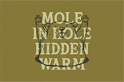 Rootle - Old Elegant Serif, a Serif Font by Marvadesign (Thumbnail 2 of 9)