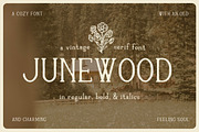 Junewood by Cindy Roaming Designs, a Serif Font by cindyroamingdesigns (Thumbnail 1 of 8)