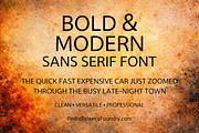 001 SANS SERIF PedroTeixeiraFoundry, a Sans Serif Font by vectalex (Thumbnail 4 of 5)