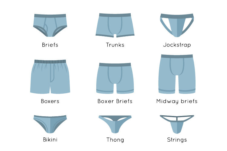 Male underwear types flat icons set, a Duotone Icon by Vectorikart