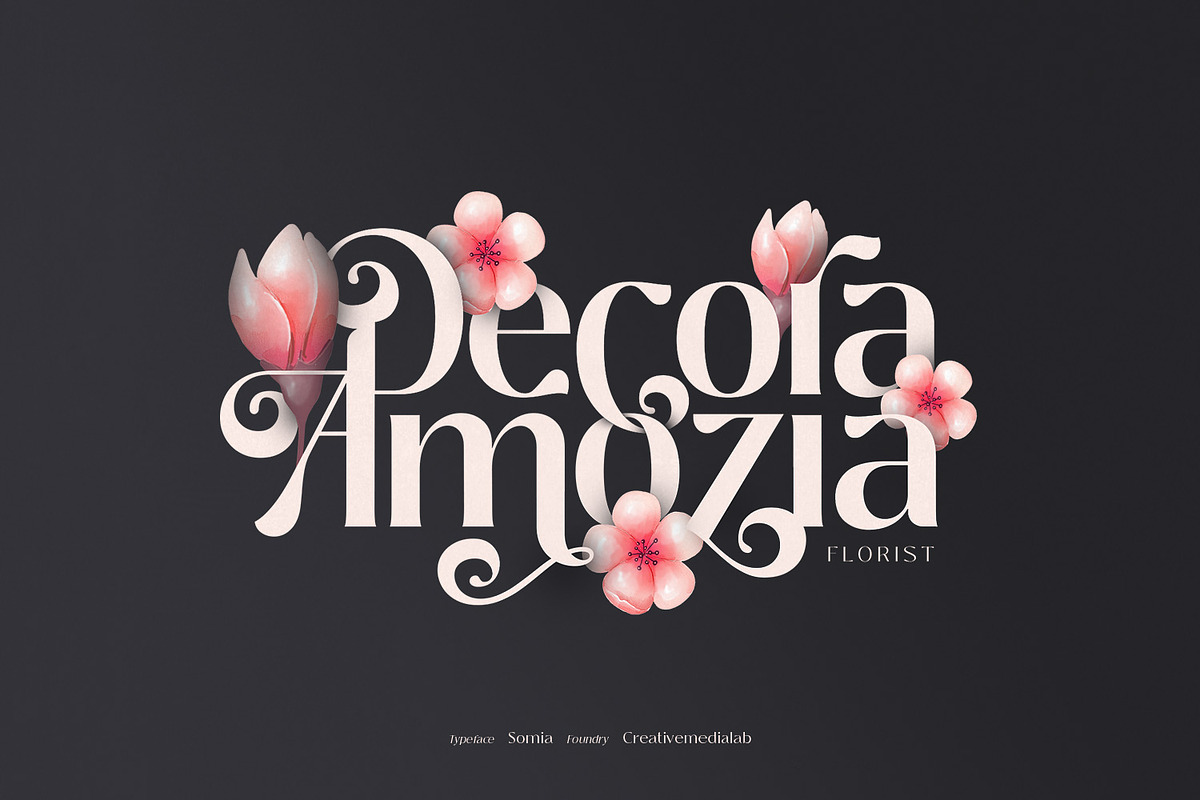 Somia - Decorative Retro Font, a Serif Font by creativemedialab (Photo 4 of 12)