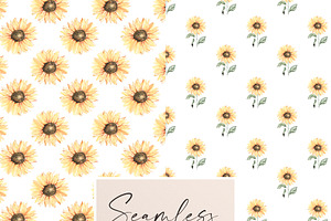 Sunflower Patterns