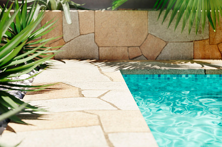 Luxury swimming pool with tropical plants and stone path. Poolsi