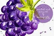 Watercolor Fruits ClipArt Pack, an Illustration by MaraquelaStudio (Thumbnail 5 of 6)