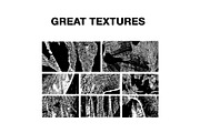 LINOCUT CORALS, an Object Graphic by Mii Lab (Thumbnail 6 of 18)