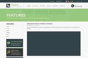 SJ ISingle - Best Business Template