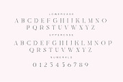 Asfire – Elegant Ligature Serif Font, a Serif Font by Issam Type (Thumbnail 9 of 12)
