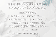 Bestia | Script Font, a Handwritten Font by Scratchones (Thumbnail 7 of 9)