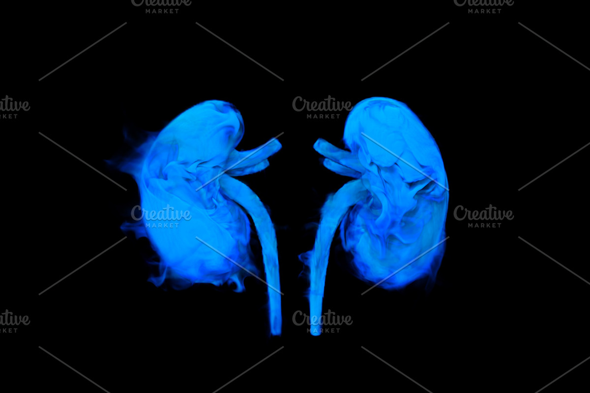 Smoky shapes of human organs, a Healthcare Illustration by Julvil (Photo 5 of 7)