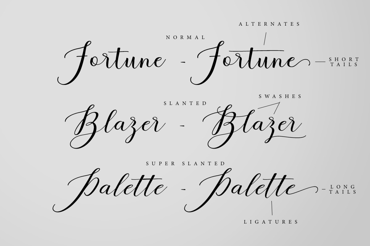 Fortune Script preview 4